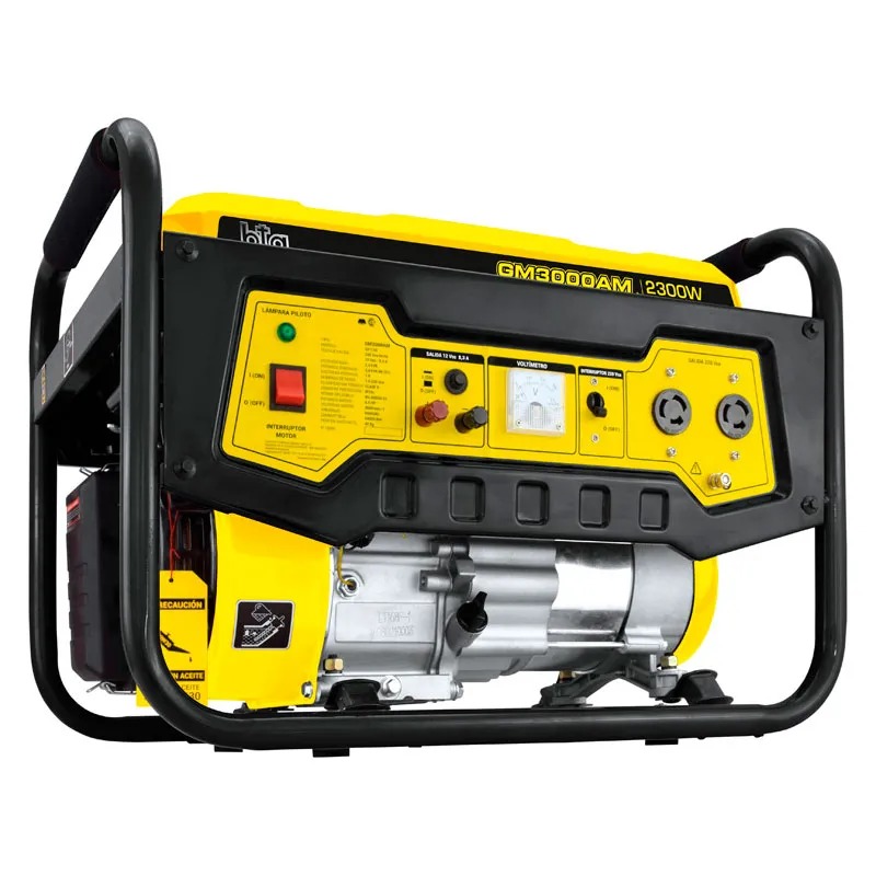 GENERADOR BTA GM3000AM2300 W
